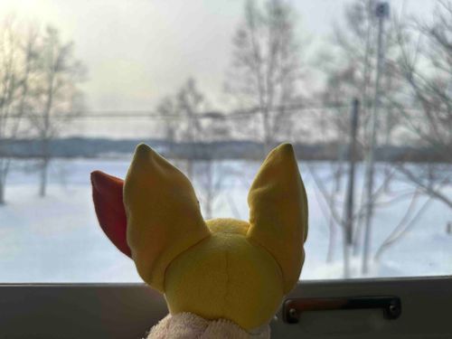 おでかけしてるよー！