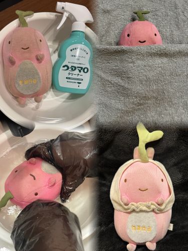 私が毎日すりすりして、どこへ行くにも一緒にお出かけして連れ回しているせいで真っ黒はなちゃんになっていたので昨日はなちゃん人生初(私のお家に来て3年くらい？)の入浴~🛁🫧
綺麗になってさらにかわいいねー🩷🩷✨️