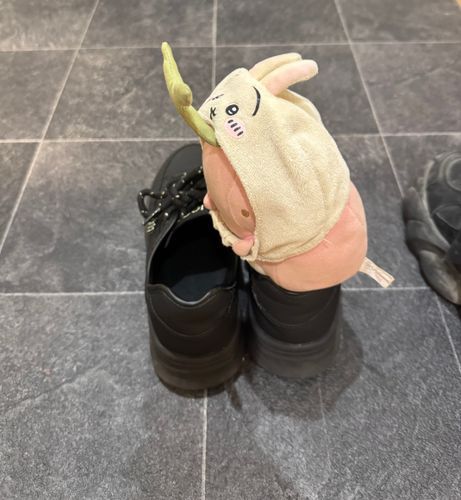 私が出かけようとすると必ず玄関で待機して一緒に行こうとするはなちゃん