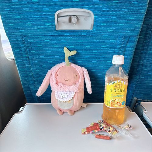 横浜〜〜🚅💨