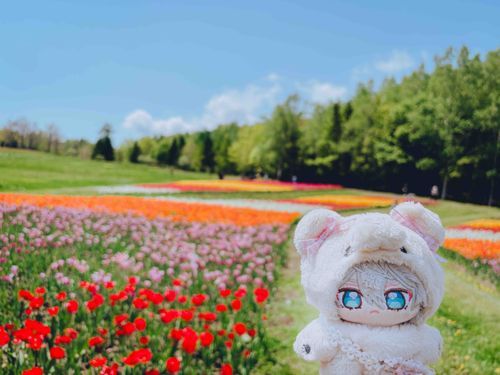 ちゅーりっぷ  みにいった🌷