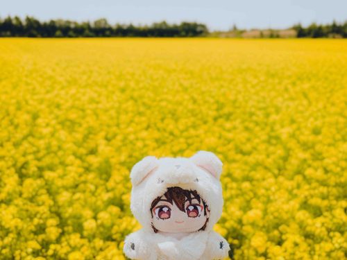 なのはなを みに つれてきて もらったぞ！！！！！！！
いちめん きいろで きれい だったな⭐︎