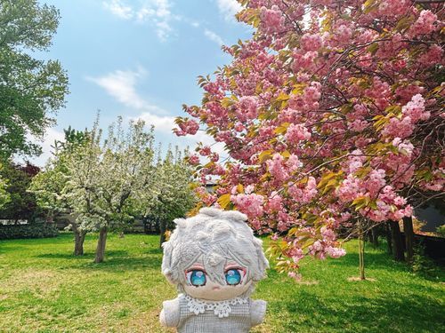 やえざくらが みごろだねぇ
しろい おはなは なんだろ？