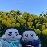 Karlin＊ぬいたちとの旅