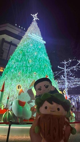 クリスマスツリーだ。