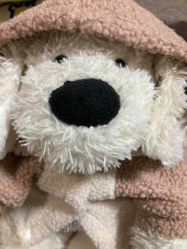 もうすぐ誕生日なので新しい服を貰ったドッグ