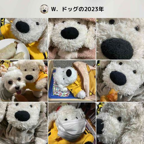 良いお年を！