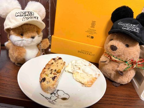 この時間からシュトーレンとチーズケーキもどきを食う様を見ている2匹