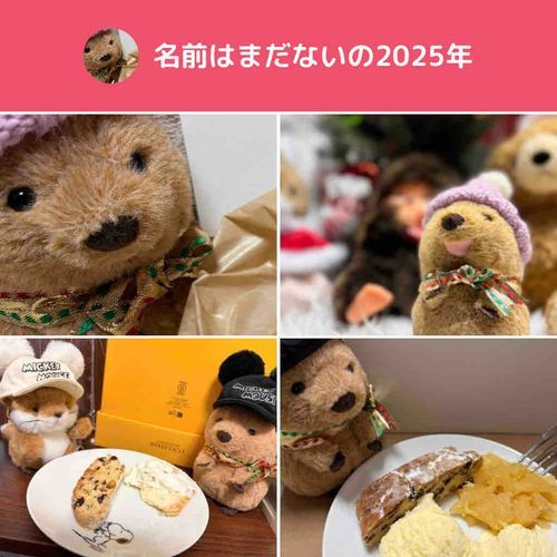 始めたばっかりだからそりゃそうだ！