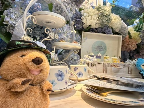 お友達とヌン茶しばいてきた