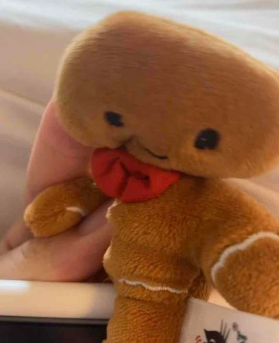 お顔がかわいく撮れなくて、失敗しちゃったくきたんも………すき？