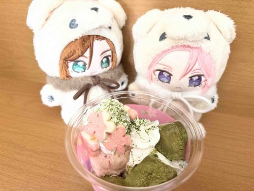 🌸サーティワンの新作「お花見わらびもちサンデー」やってᕷ*.°
美味しそうやねぇ✨️

🐱花形のお麩こはぬさんの頭に乗せてみるかぁ⭐️
似合うと思うぞぉᕷ*.°

🌱⋆｡みんなで美味しくいただきました(♡•~•♡)✨️