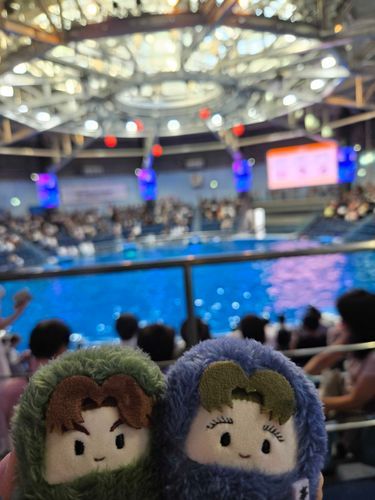 都会遠征のついでに最新の演出のイルカショーを見ました🐬