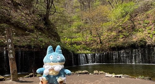 白糸の滝って聞くと…しらたき食べたくならないか？
