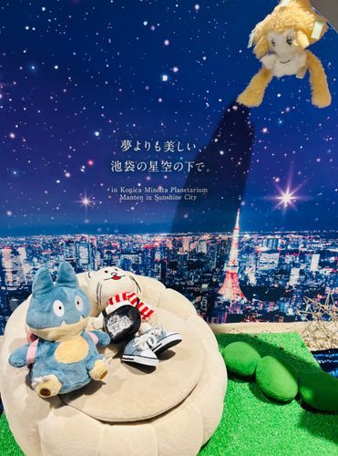 流星群ってキレイなんだな
痛いものだと思ってた