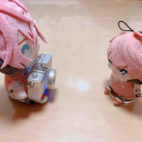 さっそく撮影会…