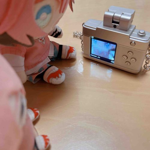 ………カメラマンへの道は長いかもしれないね