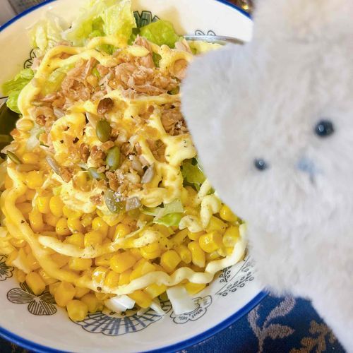 さらだ　とうふはんばーぐ　ミスド