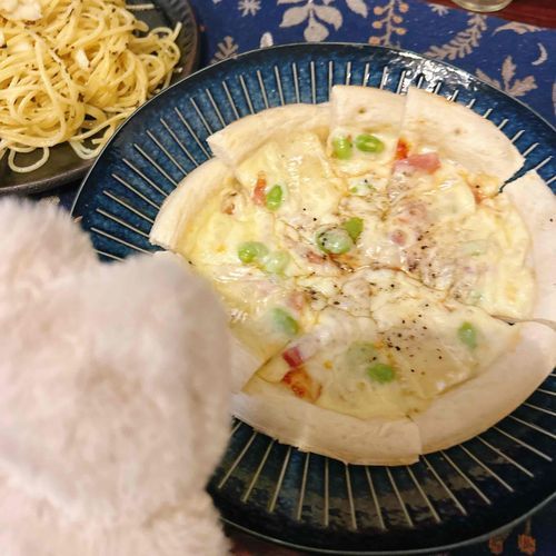 ふるさとのうぜい ぴざ