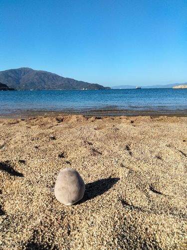 海を見るアデリーシリーズ