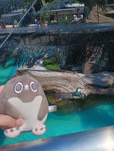 本物のペンギンと2ショット