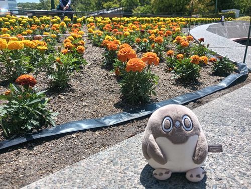 だいぶ虚無顔