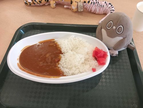 カレーおいしかった!福神漬愛してる