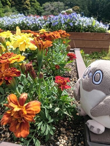 いい感じにお花と撮れた!!