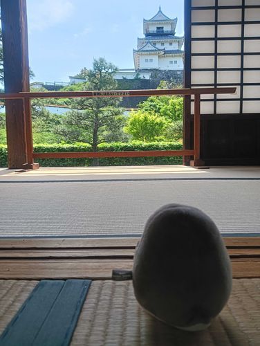 城にいた時の思い出話してきそうな背中