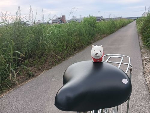 アウトロー