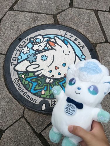ポケふた!
