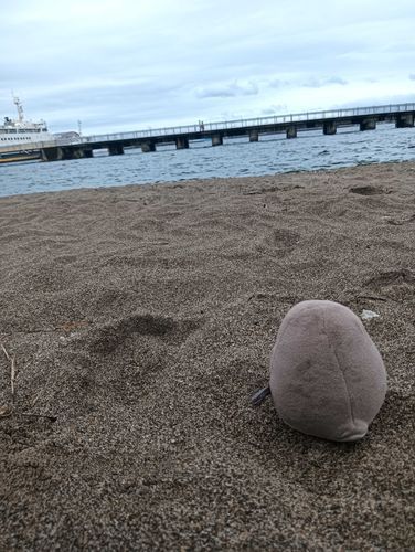 海行く度これ
