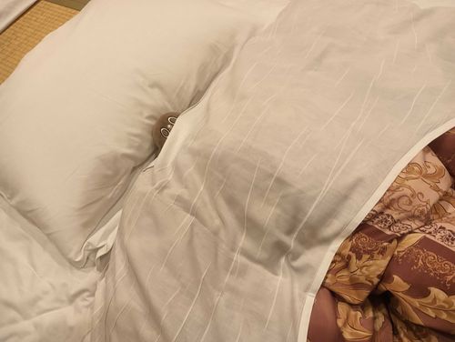 夏休みを噛み締めているところなので起こさないでください