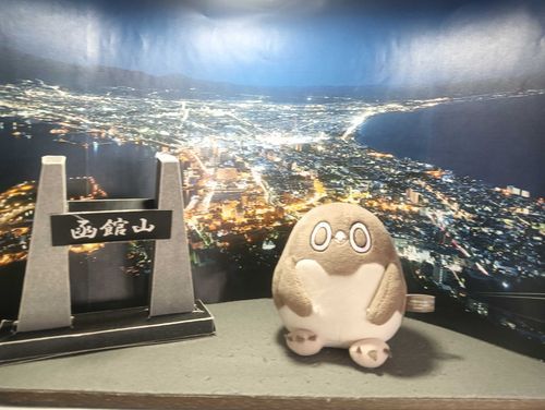 登ったけど天気悪くて景色見えなかったのでぬいぐるみスペースのを