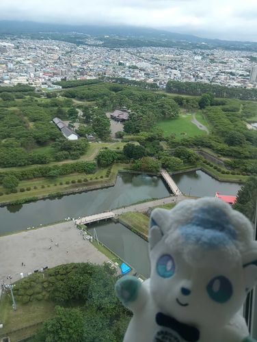 本当に星ですごかった