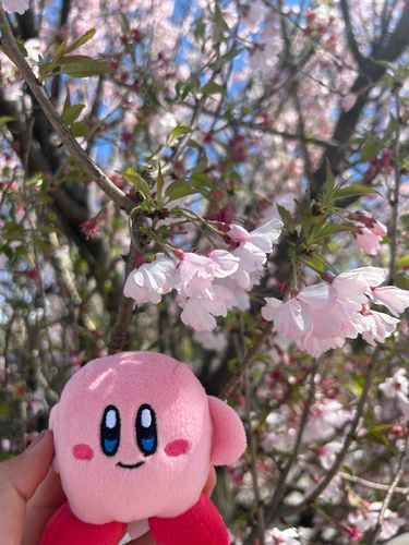 ペポ〜