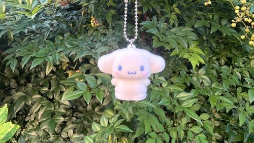 シナモン沼落ち