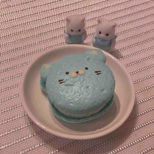 ドデカマカロンを発見したらしいです！