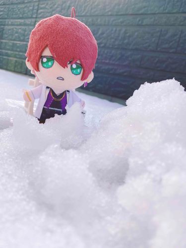 ⸜❄️⸝