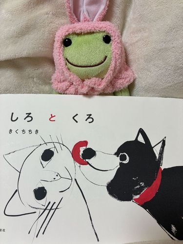 白ネコちゃんと黒イヌちゃんの絵本だケロ！中の絵がとってもカラフルで、見ているだけでも楽しいケロね。しろちゃんがくろちゃんと出会って遊ぶんだケロ、夕方にくろちゃんが帰ってしまって、寂しくて眠れなくなってしまうしろちゃんが印象的だったケロね。ピー的にはカエルちゃんもぴょんぴょんと出て来て嬉しかったケロ！

しろとくろ
作・きくちちき