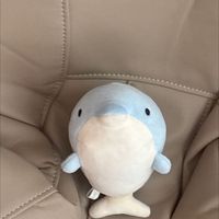 なみちゃん