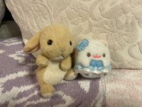 ちゃーちゃんとポメ💙