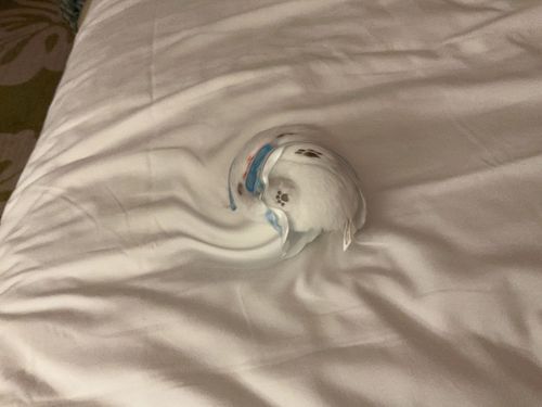 ぐにゃぐにゃあー