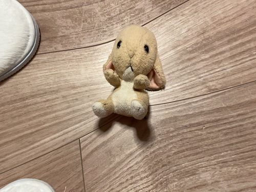 ポメちゃんがいたずら😡
だけど気にしてたお腹がへこんだからちょっと嬉しい☺️💦