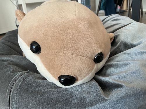 アップアップ