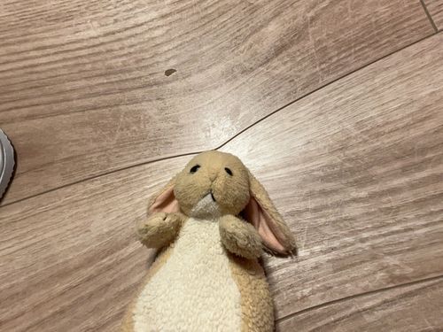 ポメがいたずらしたー😡