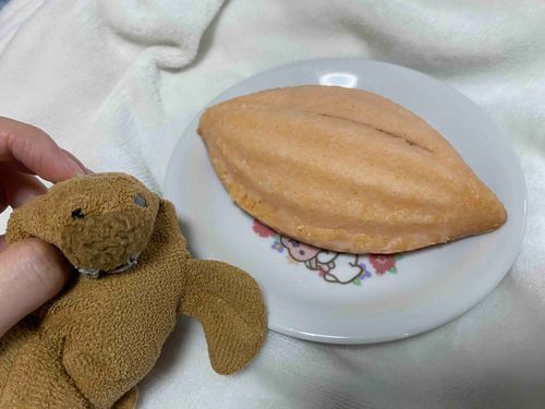 さくらあじのすばらしいスイーツなの
みたんもぜっさん