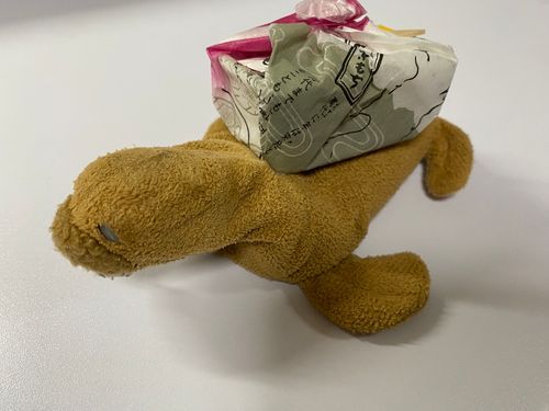 これカボのにもつ