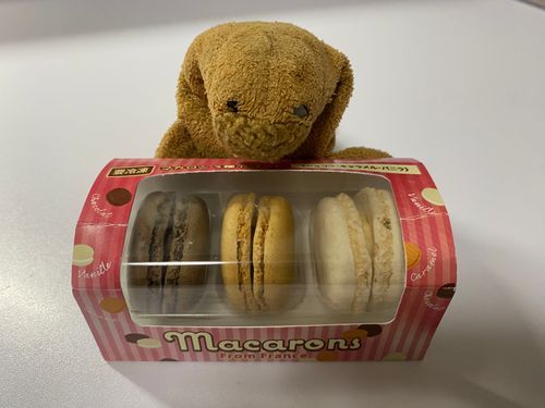 このマカロンかぼちゃんみたいだね