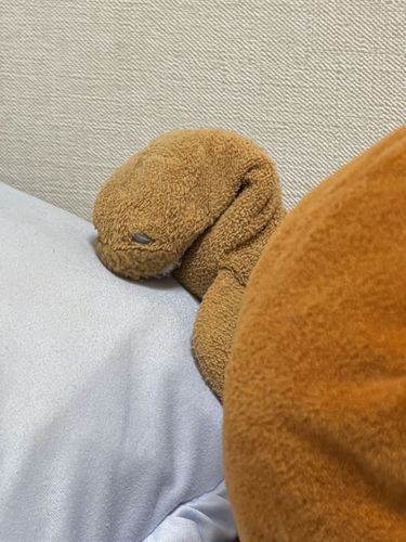 クンクン みたのにおいクセになるの